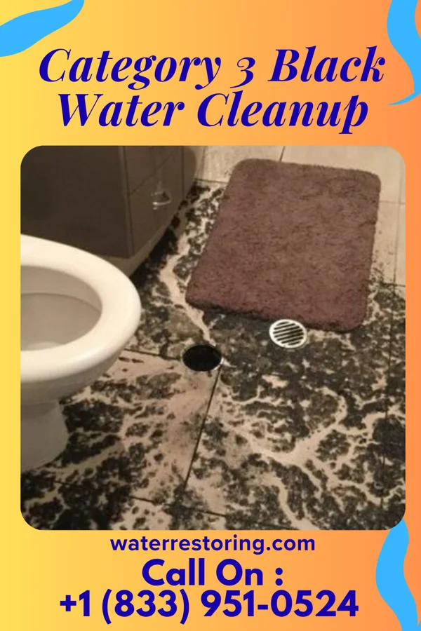 Category 3 Black Water Cleanup in Moscow, TN