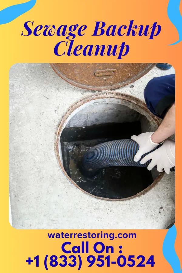 Sewage Backup Cleanup in Moscow, TN